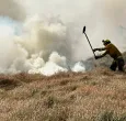 Emergencia en Bogotá: bomberos atienden simultaneamente 7 incendios forestales