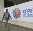 Pocos países presentaron planes para proteger la naturaleza antes de la COP16, dice ONU
