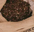 Colombia refuerza su posición en el mercado internacional del café con un crecimiento del 16%