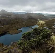 Páramo de Santurbán. / Foto: Carmen Villegas, ProColombia.