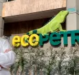 Indiscutible crecimiento de Ecopetrol en Gobierno Petro: sostenibilidad y liderazgo energético