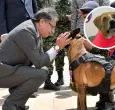 Petro promulga leyes Ángel y Lorenzo. / Foto: Presidencia y  Asociación de Protección Animal Mi Mejor Amigo.