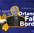 Orlando Falls Borda