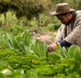 Colombia impulsa su transformación económica con reforma agraria histórica