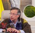 Petro sobre el aumento de cultivos de coca. / Foto: Presidencia y Unodc.