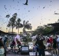 Turismo en Leticia.