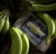 Droga escondida en cargamento de banano.