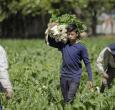 Colombia registra la tasa de desempleo más baja en 24 años para el mes de agosto