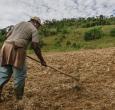 Agro colombiano genera 4,8 millones de empleos