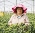 Impulso a la economía colombiana en las mujeres. / Foto: Dirección de Mujer Rural.