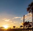 Los morichales, un paraíso natural en los Llanos Orientales