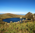 Laguna y frailejones en el Parque Nacional Natural Chingaza