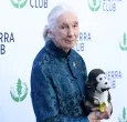 Jane Goodall. / Foto: AFP.