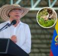 Petro sobre modelo productivo para bajar el desempleo. / Foto: Presidencia y Radio Nacional.