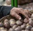 Inflación de noviembre desciende a 5,30% impulsada por caída en precios de alimentos