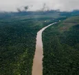 Deforestación en el Amazonas. / Foto: MinAmbiente.