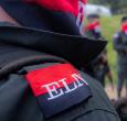 ELN anuncia cese al fuego. / Foto: AFP.