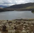 lago en el páramo de Sumapaz