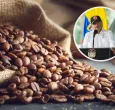 Presidente Petro sobre la exportación de café. / Foto: ProColombia y Presidencia.
