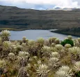 Parque Natural Sumapaz. / Foto: Parque Natural Sumapaz.