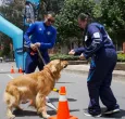 Las ciclovías de Bogotá contarán con nuevas estaciones para mascotas y sus cuidadores, con actividades de bienestar, recreación y nutrición animal disponibles desde mayo y hasta final de año.