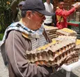 MinAgricultura compra excedentes de huevo para entregarlos gratis a familias vulnerables