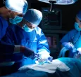 Cirugías excluidas del plan de beneficios en salud. / Foto: Freepik.