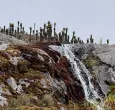 Protección ambiental: Gobierno destacó reducción histórica