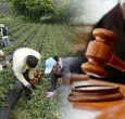 Firmantes de paz piden al Congreso para que apruebe la Jurisdicción Agraria, una deuda histórica con el campo colombiano