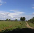Reforma agraria Gobierno cuestiona fallo de la Corte
