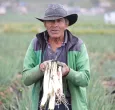Judicatura y Gobierno urgen al Congreso aprobar la Jurisdicción Agraria antes del 20 de junio