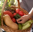 Precios de alimentos en Colombia se mantuvieron estables: Dane
