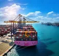 Exportaciones crecieron 19,2 % en mayo de 2026, según el Dane