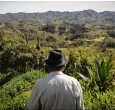 campesino mayor de espaldas, mirando hacia el campo en el horizonte