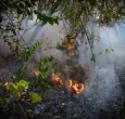 Colombia en alerta por incendios: 114 municipios bajo amenaza