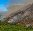 Más de $9.000 millones y ayudas para el campo: así será la recuperación del Tolima tras los incendios forestales