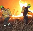 Una colilla, una fogata, un desastre: así puede prevenir incendios forestales