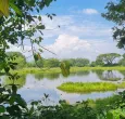 Valle del Cauca suma 2.580 hectáreas a su red de áreas protegidas