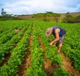 Emergencia económica por El Niño: alistan congelamiento de deudas por $55 billones para el agro