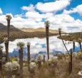 En los Andes, El Niño seca el agua de la que depende el 70 % de los colombianos