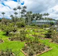 Cómo ser aliado gastronómico con el Jardín Botánico de Bogotá