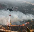 Villa de Leyva en alerta máxima: más de 250 socorristas combaten contra el incendio forestal