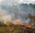 UNGRD activa plan nacional para combatir incendios forestales en 18 departamentos