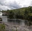 Cano-cristales.jpg