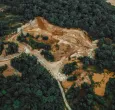 Deforestacion-Amazonia-Colombia.jpg