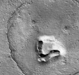 Imagen-de-oso-en-Marte.jpg