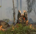 Incendios-1.jpg