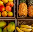 Los-cinco-mitos-mas-comunes-sobre-el-consumo-de-fruta.jpg