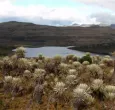 Paramos-en-Colombia-1.jpg