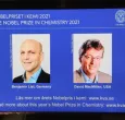 Premio-Nobel-de-Qimica-ganadores.jpg